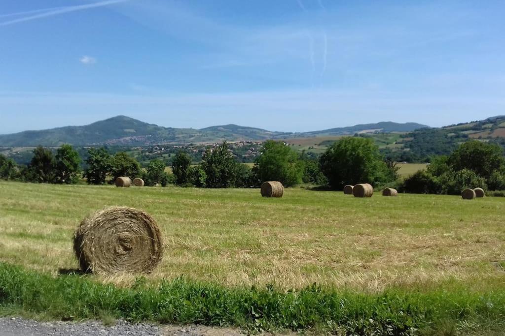 Apartmán Les Pierres Blondes Montpeyroux  Exteriér fotografie