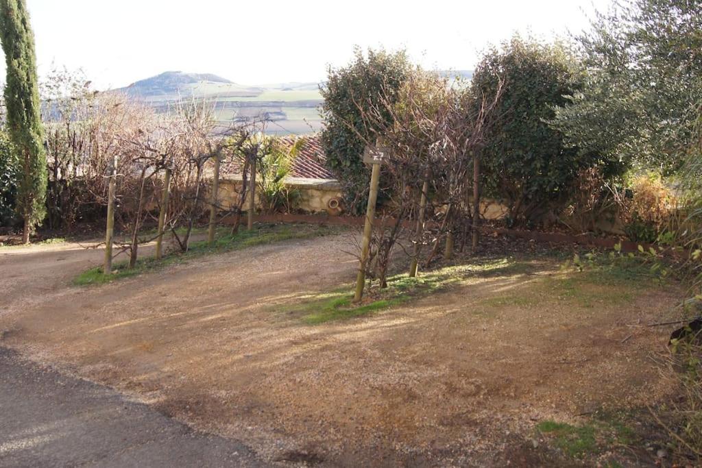 Apartmán Les Pierres Blondes Montpeyroux  Exteriér fotografie